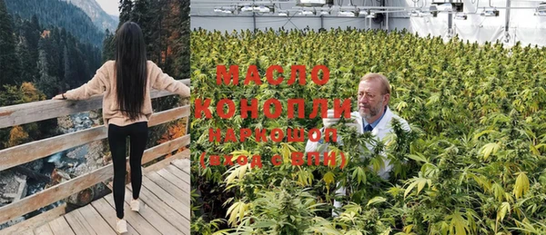 сатива Майский