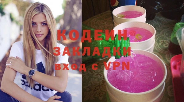 сатива Ельня