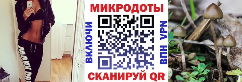 Галлюциногенные грибы Magic Shrooms что такое наркотик MEGA как войти Новомосковск