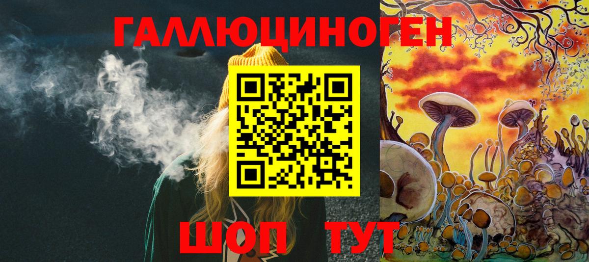 купить наркоту  Псилоцибиновые грибы ЛСД  Псилоцибиновые грибы Psilocybe  Вход с VPN  Новомосковск 