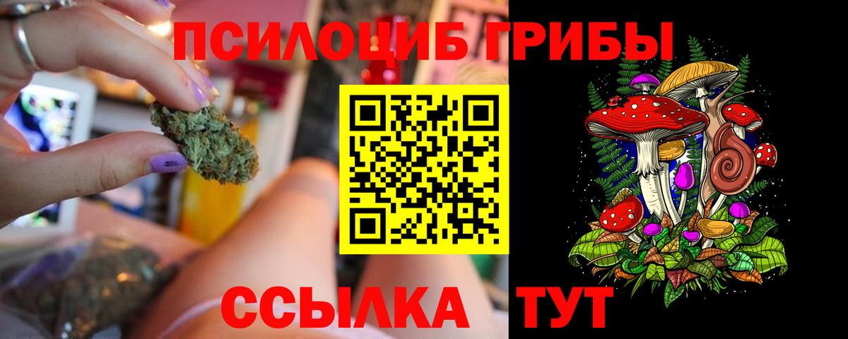 Галлюциногенные грибы мицелий Новомосковск